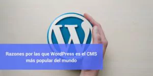 WordPress, cms, web, apps, applications