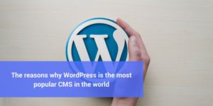WordPress, CMS, most popular